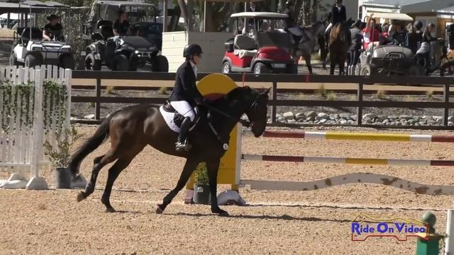 016S Lisa Sabo On Infinity Open Preliminary Show Jumping Galway Downs Feb. 2022