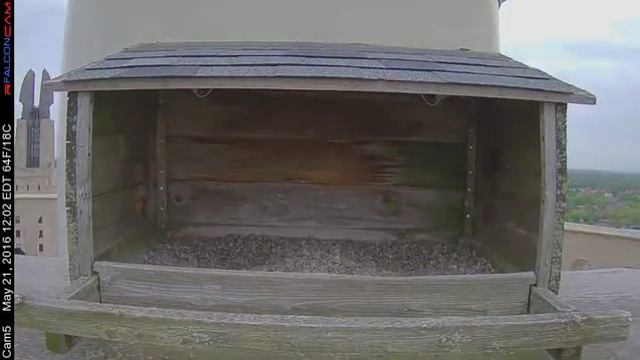 Camera 5 - 05/21/16 смотреть онлайн