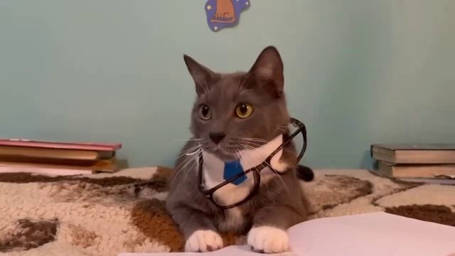 БЯ! БЯ! БЯ! 😂😂😂😂😂😂😂😂🤣🤣🤣🤣🤣🤣🤣🤣 смотреть онлайн