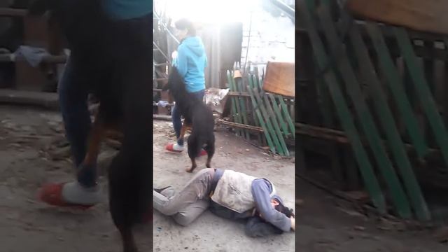 Бешенства смотреть онлайн