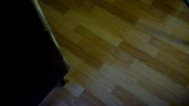 кот темка и швабра)) смотреть онлайн