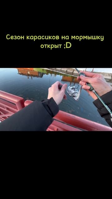 Открытие сезона #мормышинг #карась #мормышка #спиннинг #поймалотпусти #fishing #catchandrelease смотреть онлайн