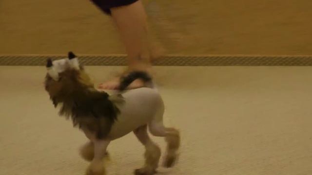Jazz 3 Mo1