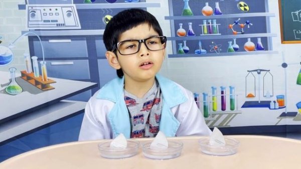 Rainbow Crystals DIY Science Experiment at Home for Kids