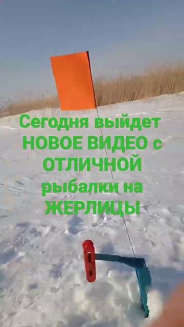 щука на жерлицы 2023 смотреть онлайн