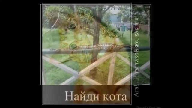 четвероногие друзья смотреть онлайн