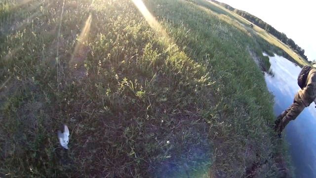 ловля судачка в утреннюю зорьку смотреть онлайн