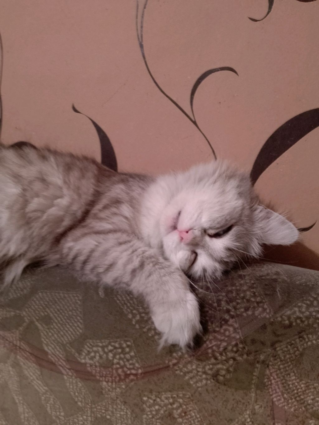 ?? смотреть онлайн