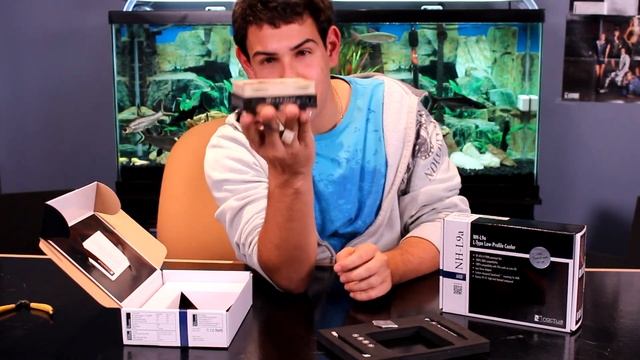 Noctua NH-L9I and NH-L9A Unboxing/First look -TheTechSource.Tv смотреть онлайн