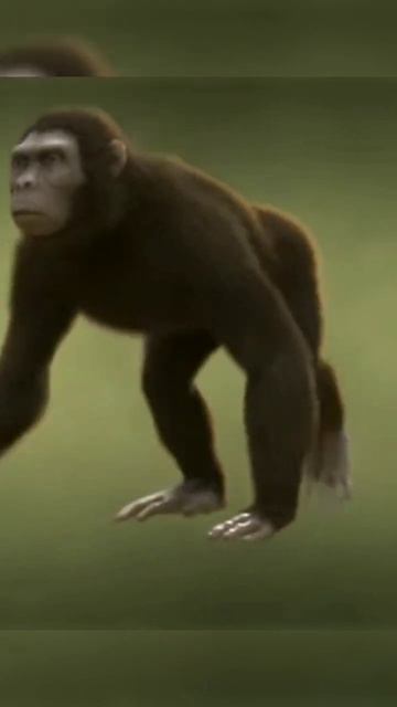 Human evolution short series part -1 смотреть онлайн