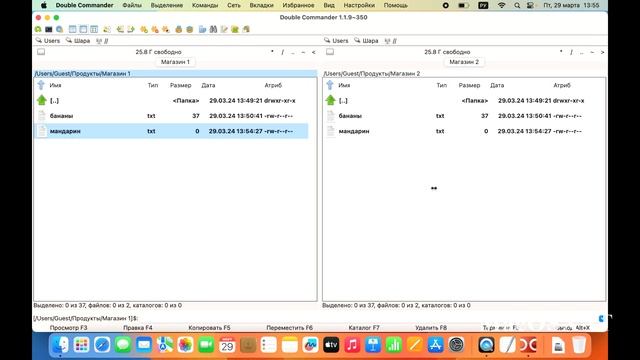 Double Commander для Mac OS. Урок 2. Основы работы с программой на примере файлов и папок смотреть онлайн