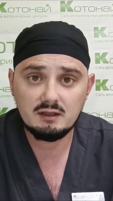 травмы у домашних попугаев🦜 смотреть онлайн