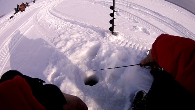 Поиск судака на Обском водохранилище смотреть онлайн