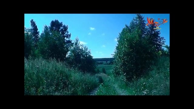 Вокальный ансамбль«Нивушка» смотреть онлайн