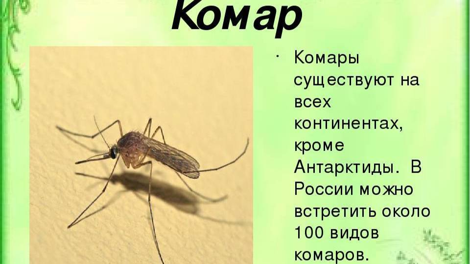 Кто не видел Север Крайний, тот не видел ничего. смотреть онлайн