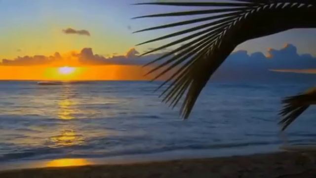 Гороскоп на июнь 2018 - Весы смотреть онлайн