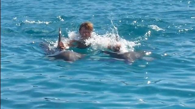 Elke mit Flipper Karibik 2005 смотреть онлайн