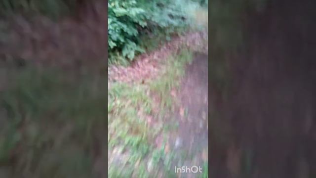Обожнюю чеську природу смотреть онлайн