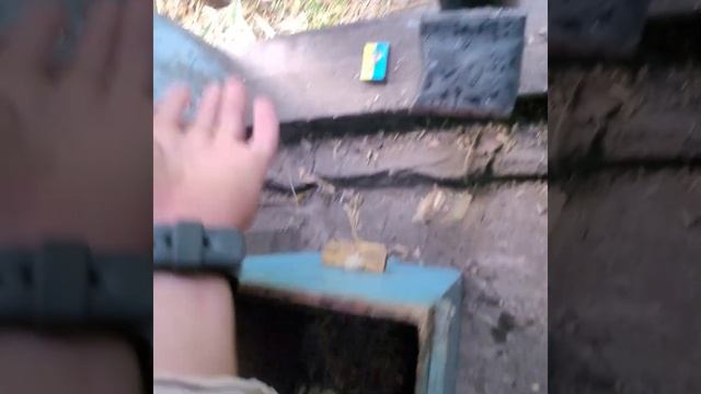 Простое топливо для дымаря, мало сажи много дыма #пчелы#дымарь# смотреть онлайн