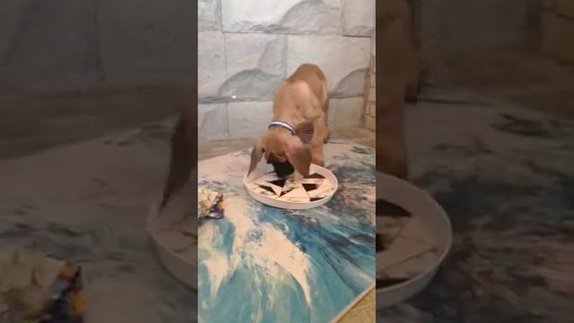 1 смотреть онлайн