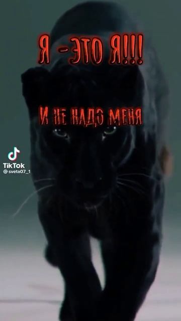 21 февраля 2023 г. смотреть онлайн
