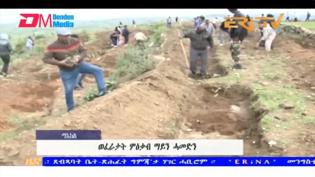Midday News in Tigrinya for July 31, 2024 - ERi-TV, Eritrea смотреть онлайн