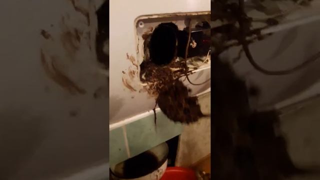 Вода-источник жизни..... смотреть онлайн