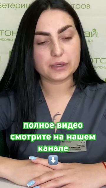 Анафилактический шок в ветеринарии смотреть онлайн