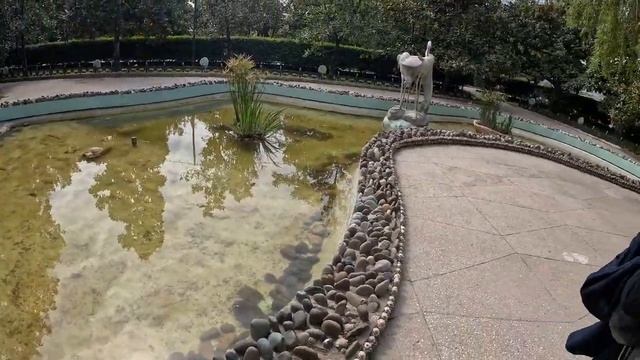 Набережная Сочи и парк Ривьера смотреть онлайн