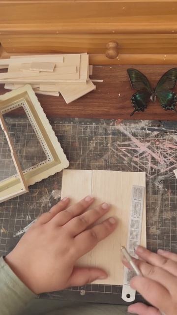 reframing an alpine black swallowtail butterfly смотреть онлайн