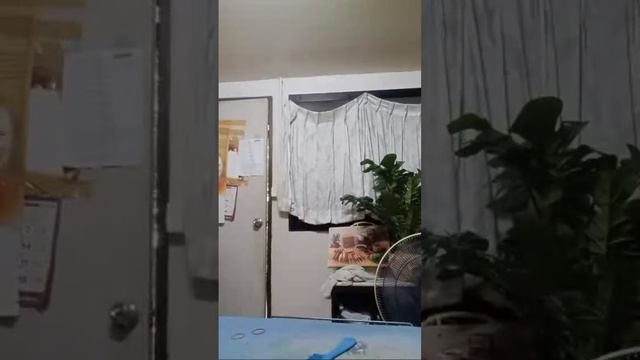 ไฮไลต์ 1:40:16 - 1:45:16 จาก Duangduean49 กำลังถ่ายทอดสด!#🙏❤️สวัสดีค่ะขอกำลังใจไปต่อเก็บทรัพย์เก็บเ смотреть онлайн