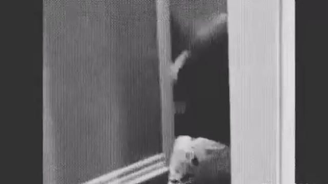 00:01 я иду в школу 00:05 я попытался сбежать с уроков смотреть онлайн