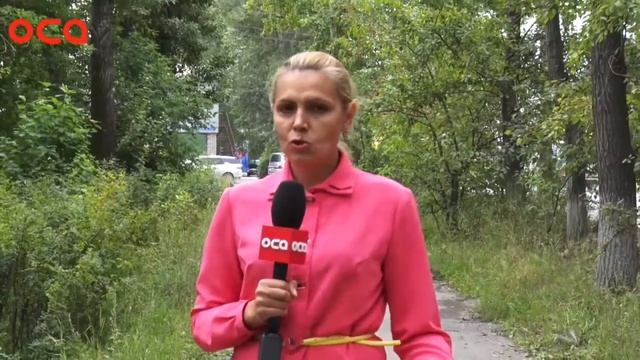 новости телеканала "ОСА" от 14.08.17 смотреть онлайн