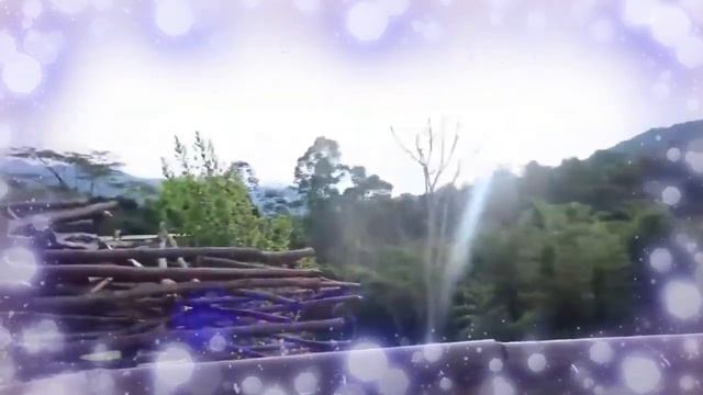 ❤️YOLO x MARIANA [Yoloriana] Sebastian Yatra, Reik - Un Año❤️ смотреть онлайн