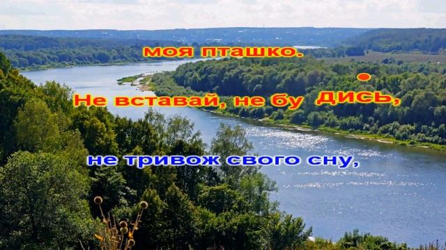 Час рікою пливе. Українська народна пісня-караоке смотреть онлайн