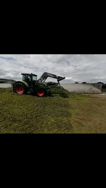 claas#✅💚#tractor #pourtoi #video #agriculture #agri #pourtoiii #beautiful #foryou #claas #fyp смотреть онлайн