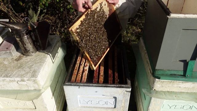 осенние выравнивание семей смотреть онлайн