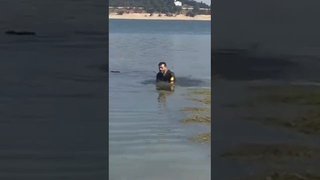 aynalı sazan 15 kg смотреть онлайн