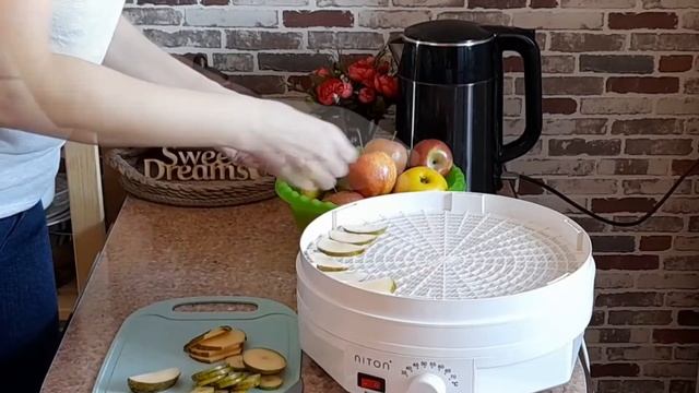 Аппарат для сушки фруктов и овощей - сушилка нитон 450 ОБЗОР