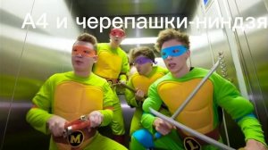 А4 и черепашки-ниндзя.