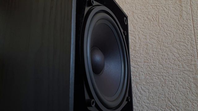 Elac ELX 8068 - Woofer Excursion (hardcore Music)