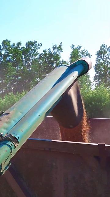 Дон 1500 смотреть онлайн