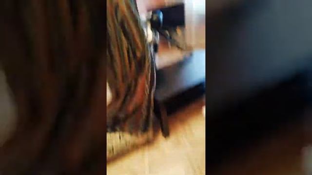 Самый главный БОСС смотреть онлайн