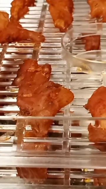 Джерки в сушилке из куриных бёдер смотреть онлайн