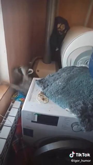 Ильюша смотреть онлайн