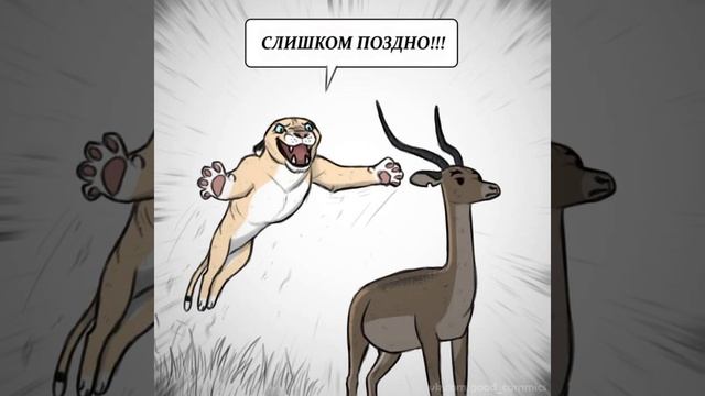 Пикси и Брут №17 #комикс #кот #собака смотреть онлайн