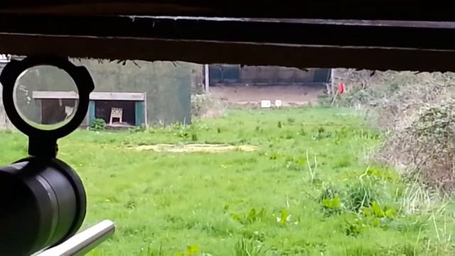 CZ452 .22lr 100m with slo mo смотреть онлайн