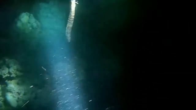 egypt dugong смотреть онлайн