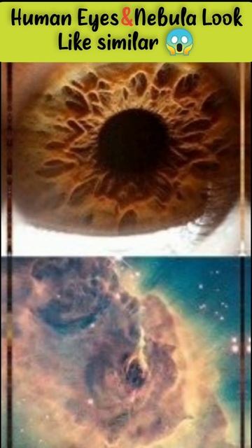 Human Eye 👀 & Nebula Look Like similar || 😱😱 || #shorts #viral смотреть онлайн
