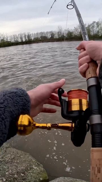 Always a pleasure fight a big catfish with my SPORTEX HUCHEN DE LUX XT #shorts смотреть онлайн
